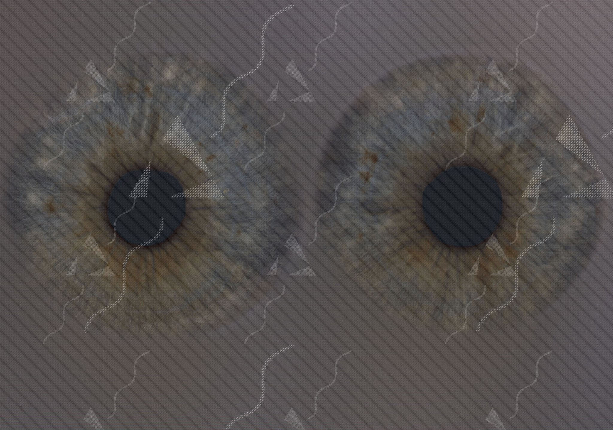 Iris bundle #01 – Texturing.xyz