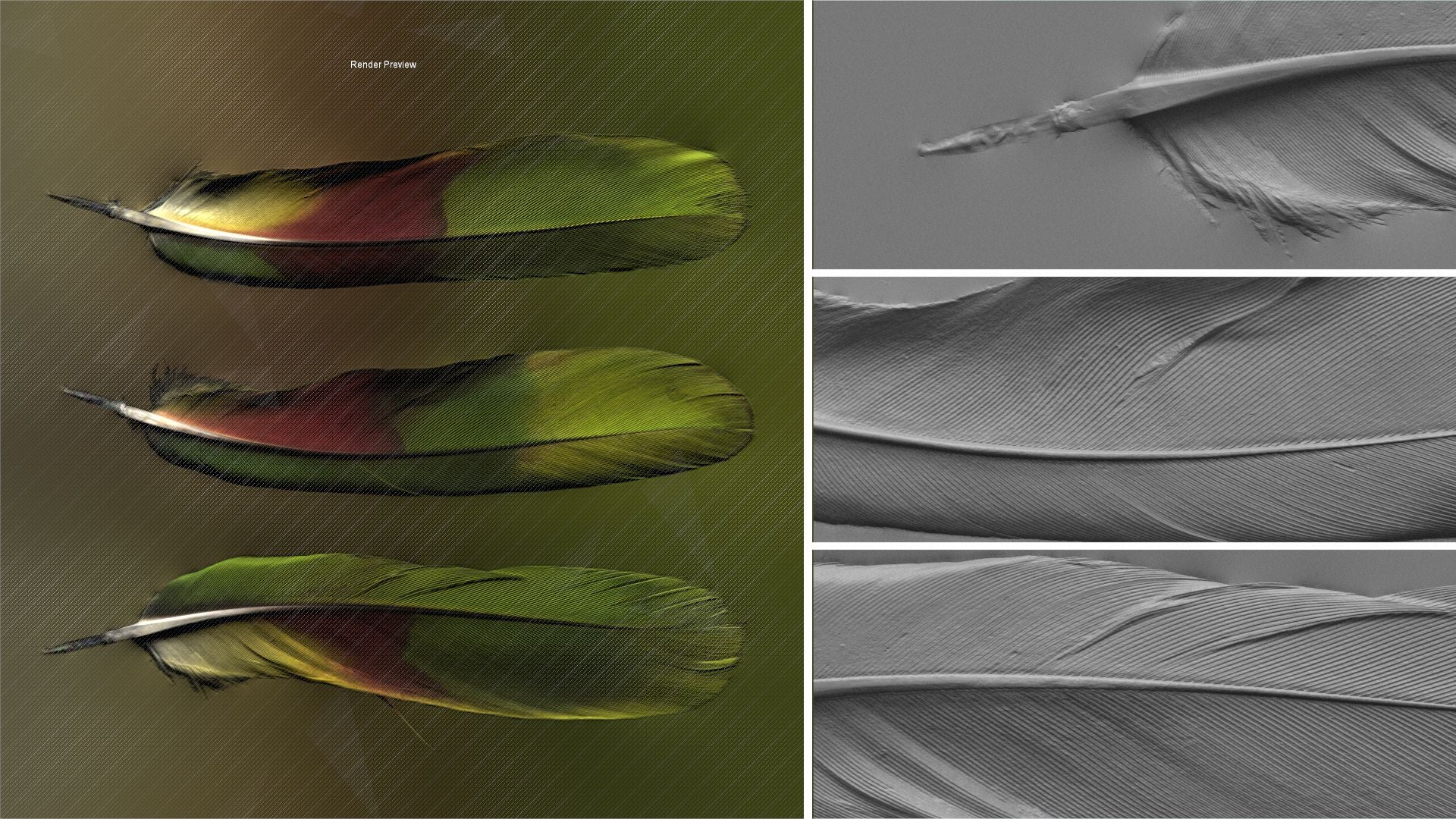 3c5d8355cd2e8836c42a04b1481a43