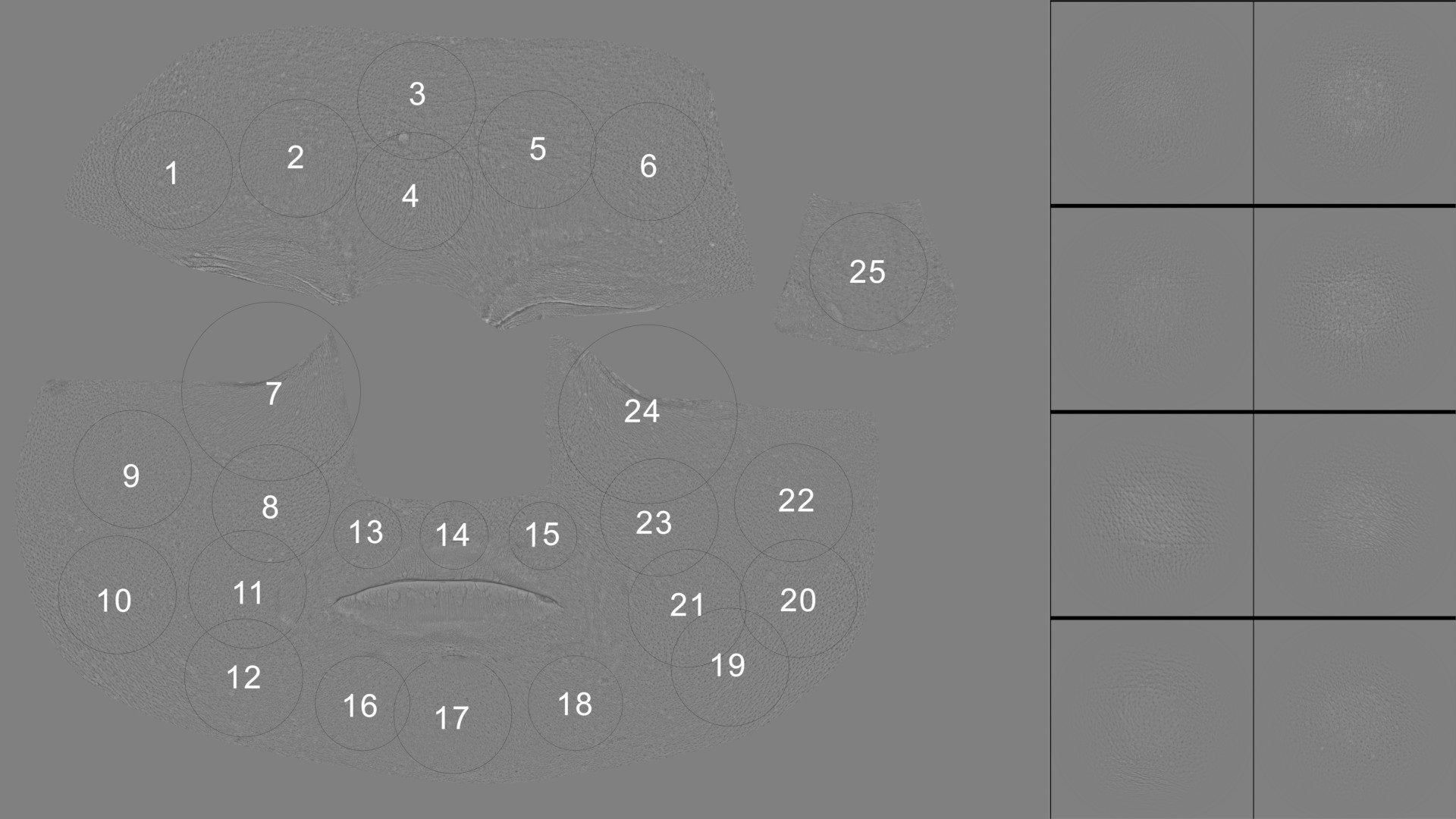 alphaSkin Faces #01 – Texturing.xyz alphaSkin Faces #01 – Texturing.xyz