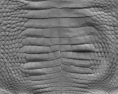 Crocodile body #02 - Texturing.xyz