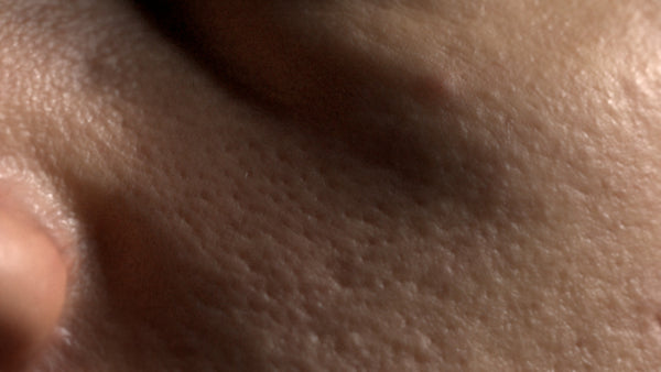 Female 20s Multichannel Face #22 - Texturing.xyz