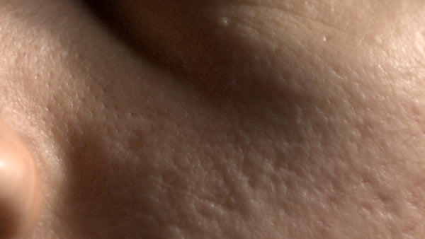 Male 20s Multichannel Face #08 - Texturing.xyz