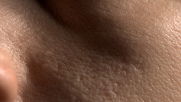 Male 20s Multichannel Face #24 - Texturing.xyz