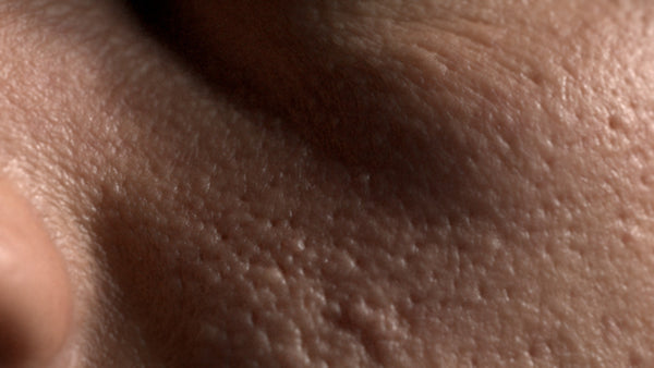 Female 20s Multichannel Face #30 - Texturing.xyz