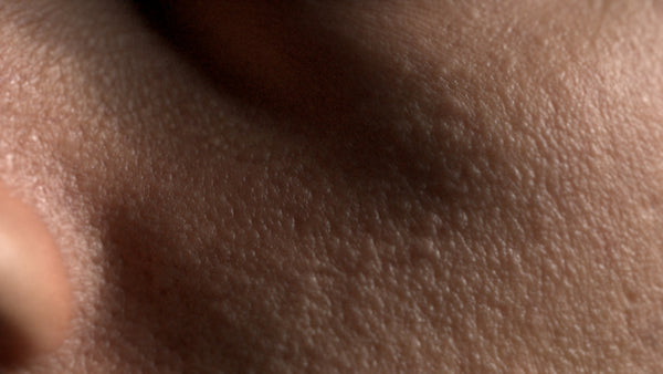 Male 30s Multichannel Face #01 - Texturing.xyz
