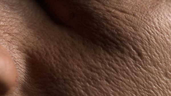 Male 60s Multichannel Face #59 - Texturing.xyz