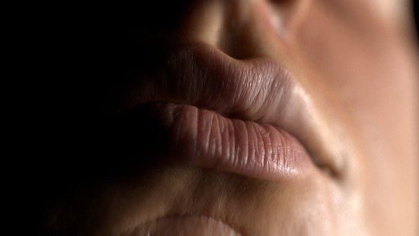 Male 30s Multichannel Face #83 - Texturing.xyz