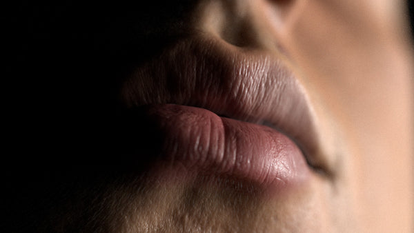 Male 20s Multichannel Face #50 - Texturing.xyz