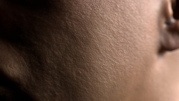 Male 30s Multichannel Face #65 - Texturing.xyz