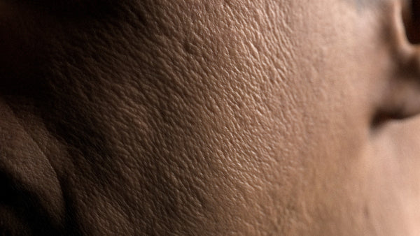 Male 60s Multichannel Face #59 - Texturing.xyz