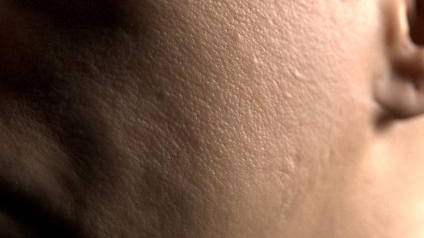 Male 20s Multichannel Face #24 - Texturing.xyz