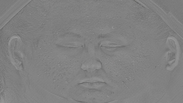 Female 20s Multichannel Face #53 - Texturing.xyz