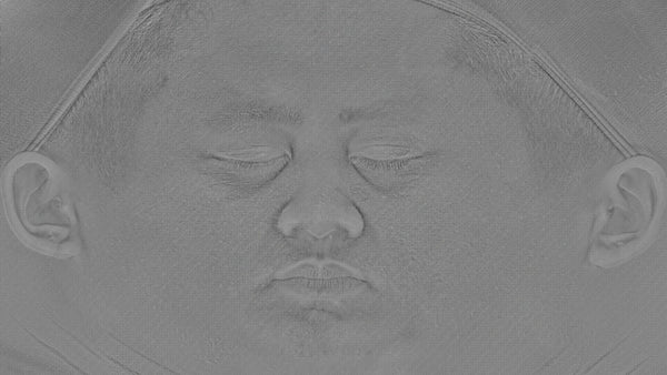 Male 30s Multichannel Face #67 - Texturing.xyz