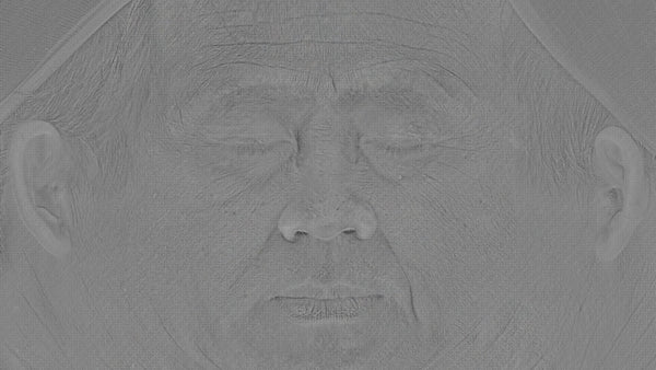 Male 60s Multichannel Face #59 - Texturing.xyz