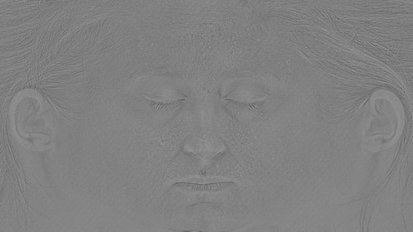 Female 20s Multichannel Face #82 - Texturing.xyz