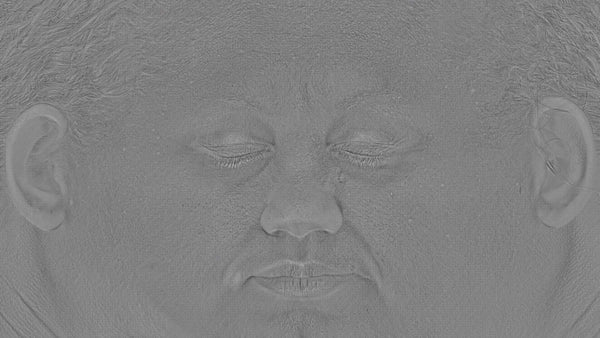 Female 30s Multichannel Face #16 - Texturing.xyz