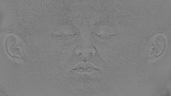 Male 40s Multichannel Face #66 - Texturing.xyz