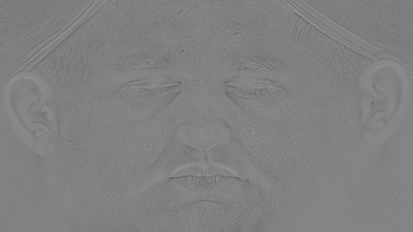 Male 20s Multichannel Face #05 - Texturing.xyz
