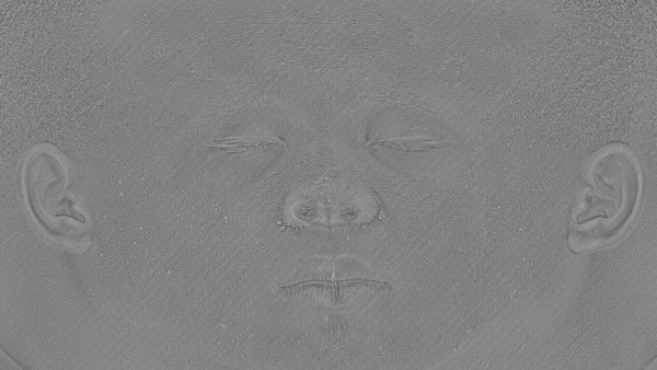 Male 30s Multichannel Face #42 - Texturing.xyz