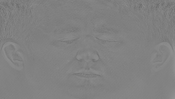 Male 30s Multichannel Face #63 - Texturing.xyz