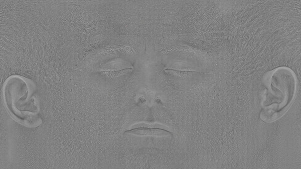 Male 30s Multichannel Face #01 - Texturing.xyz