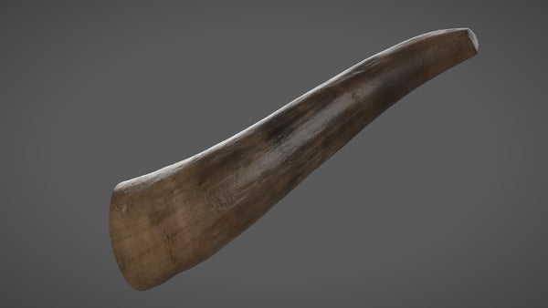 Cow horn - commercial use #09 - Texturing.xyz