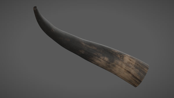 Cow horn - commercial use #05 - Texturing.xyz
