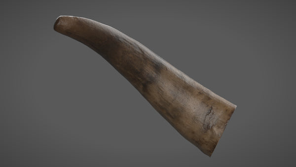 Cow horn - commercial use #09 - Texturing.xyz