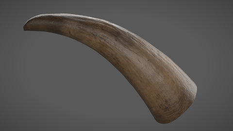 Cow horn - commercial use #10 - Texturing.xyz