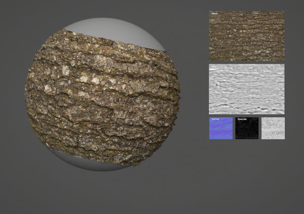 Oak bark #02 – Texturing.xyz