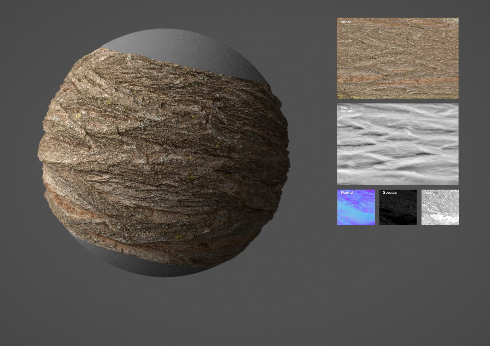 Tree bark #02 – Texturing.xyz