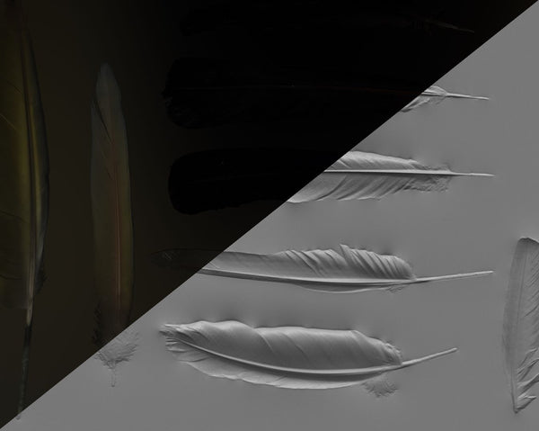 Feather - commercial use #04 - Texturing.xyz