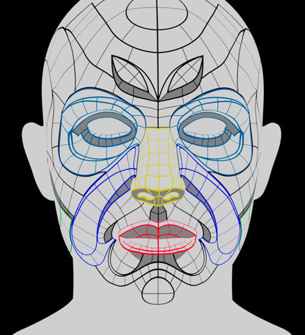 Female Anatomical Checker – Texturing.xyz
