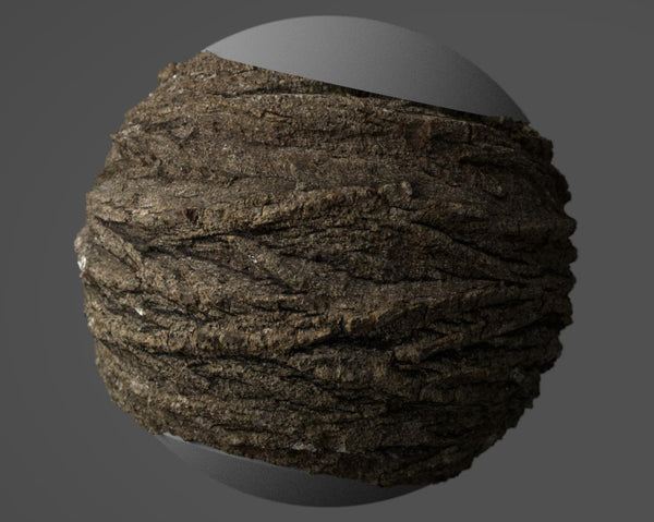 American walnut bark #01 - Texturing.xyz
