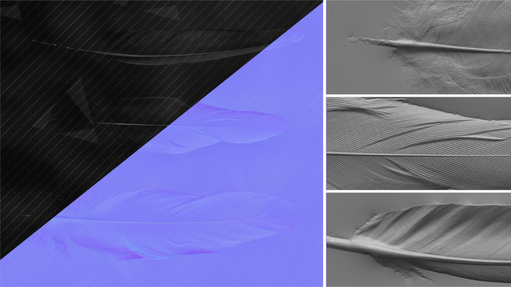 Feather #02 – Texturing.xyz