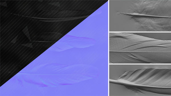 Feather - commercial use #02 - Texturing.xyz