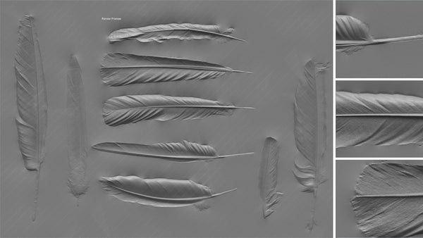 Feather #04 - Texturing.xyz