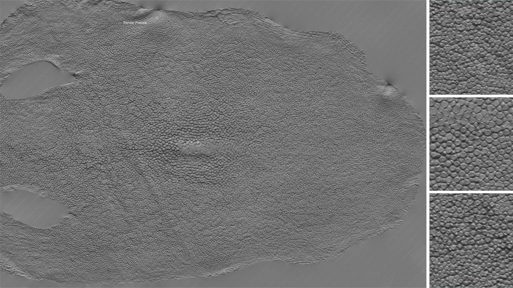 Stingray skin #01 – Texturing.xyz