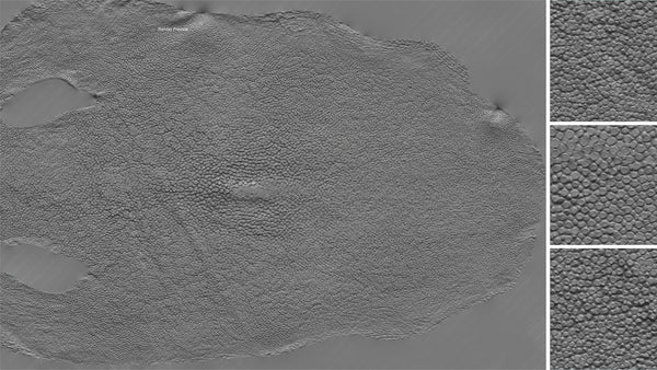 Stingray skin #01 – Texturing.xyz