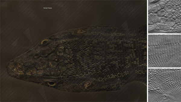 preview.0001_a031e32d-4de7-