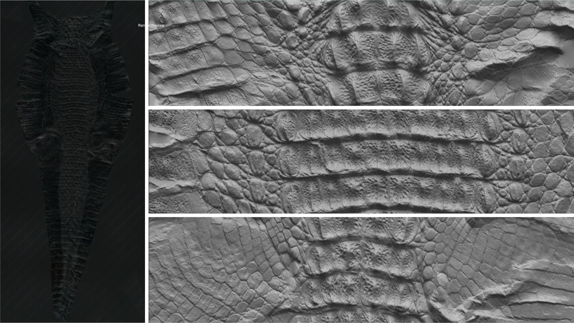 Caiman body #02 – Texturing.xyz