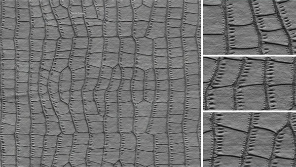 Crocodile body - commercial use #01 - Texturing.xyz