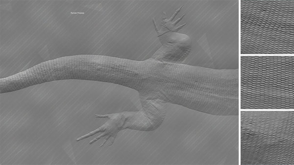 Lizard body - commercial use #05 - Texturing.xyz