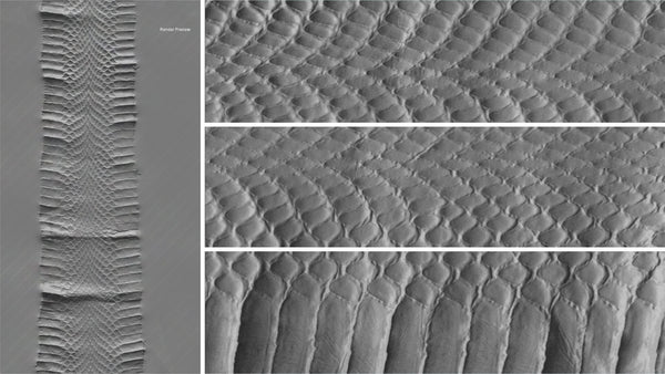 Snake body - commercial use #04 - Texturing.xyz