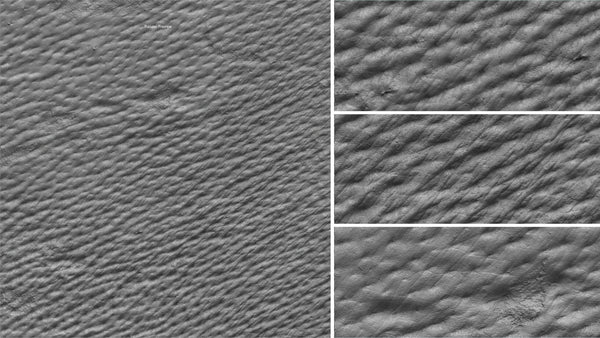 Pig skin - commercial use #01 - Texturing.xyz