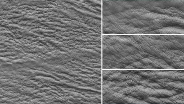 Pig skin - commercial use #03 - Texturing.xyz