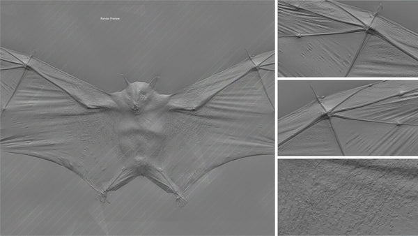 Bat #01 - Texturing.xyz