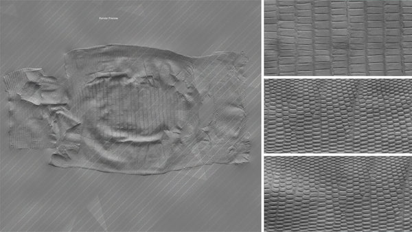 Iguana body - commercial use #03 - Texturing.xyz