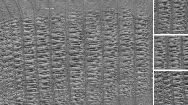 Cingulata tatoo - commercial use #02 - Texturing.xyz