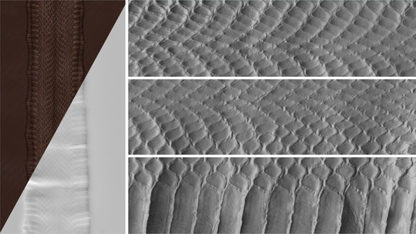 Snake body - commercial use #04 - Texturing.xyz
